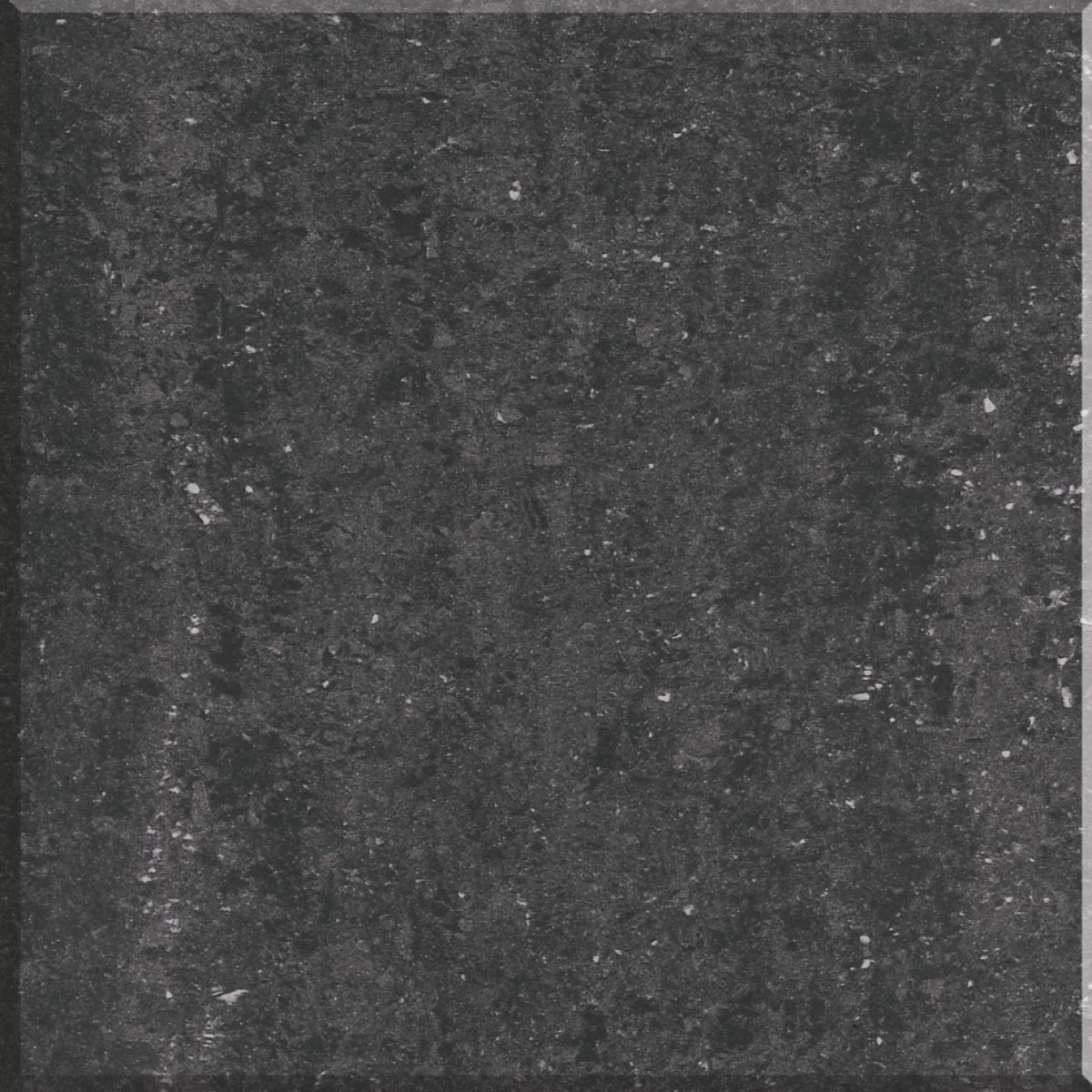 Zeus Negro | NZP10106 | Pavigrés